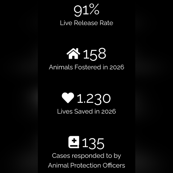 Augie & Bridget's March Mission Fundraiser Flyer - Picture 5 of 11